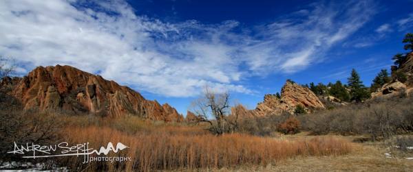 Roxborough Meadow in Late Winter
