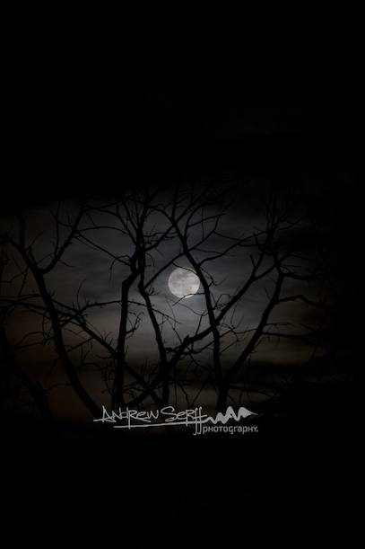 Full Moon Hiding