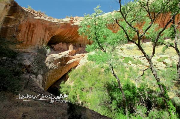 Monarch Cave Dwelling