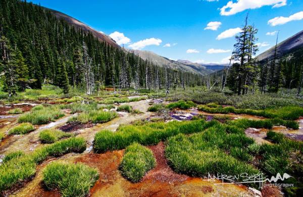 Geneva Creek Basin