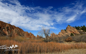 Roxborough Meadow in Late Winter