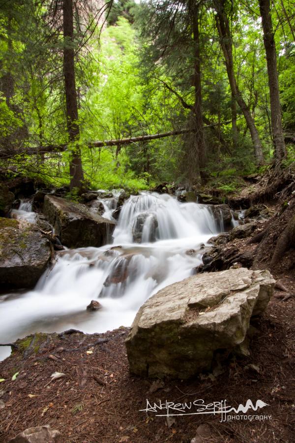 Cascades Frozen in Time