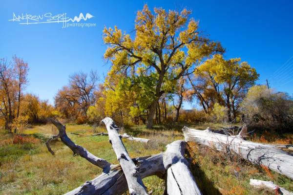 Fall on the Front Range
