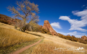 Road to the Rocky Blue