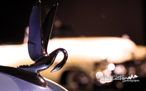 Packard Emblem