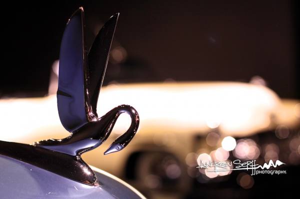 Packard Emblem