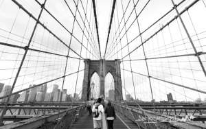 Web of Love