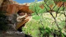 Monarch Cave Dwelling