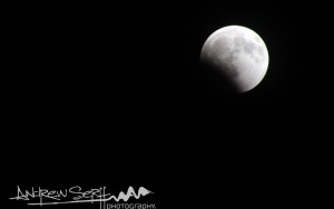 Solstice Lunar Eclipse