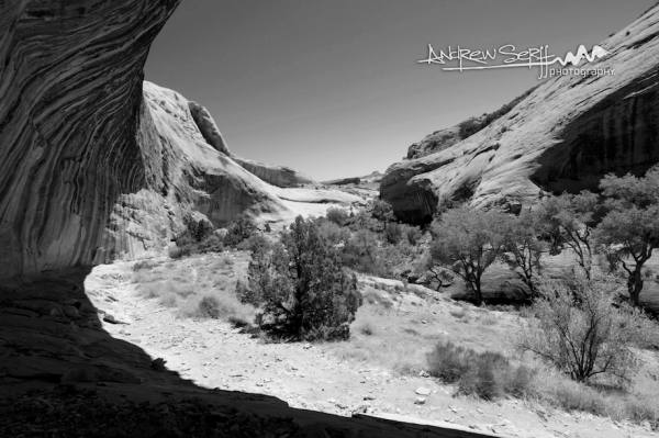 Exiting Monarch Cave
