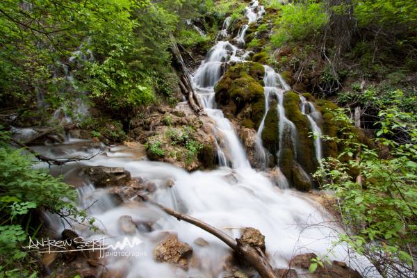 Lush Green Falls