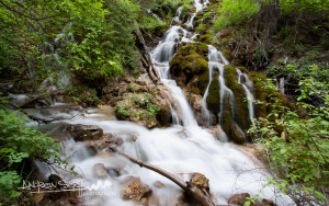 Lush Green Falls