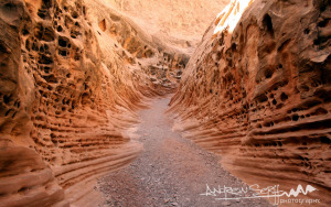 Little Wild Horse Canyon