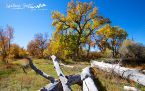 Fall on the Front Range