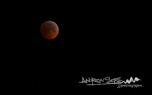 Fully Eclipsed Moon