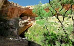 Monarch Cave Dwelling