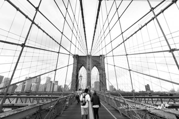 Web of Love
