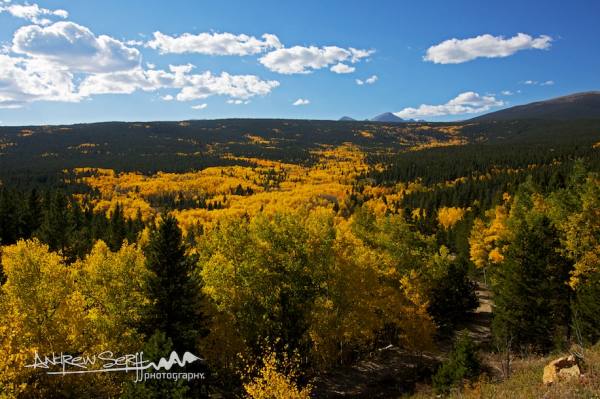 Fall in Colorado