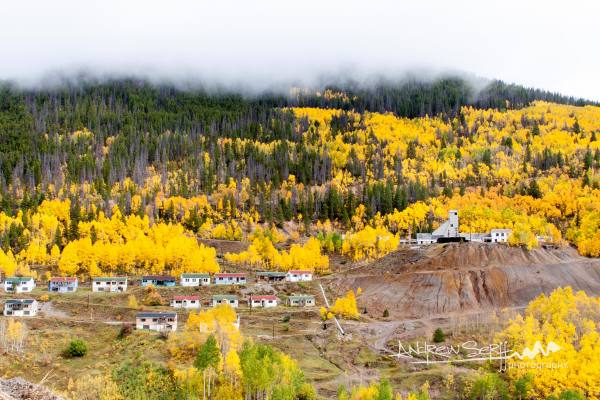Miners in the Fall