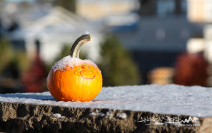 Happy Halloween