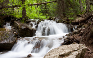 Cascades Frozen in Time