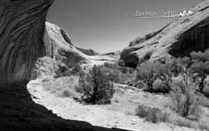 Exiting Monarch Cave