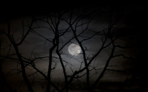 Full Moon Hiding