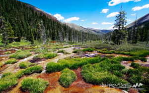 Geneva Creek Basin