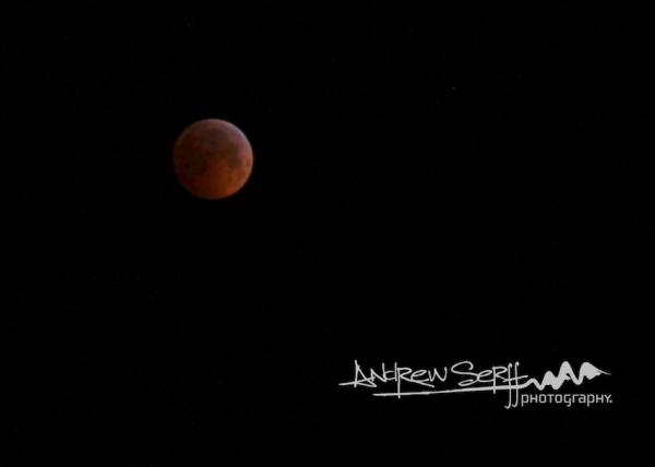 Fully Eclipsed Moon