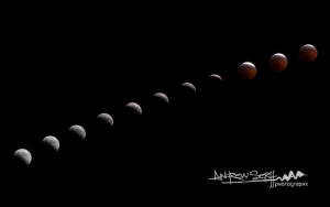 Lunar Eclipse Phases